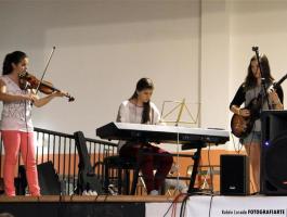 IMG_4113-Medium-Medium