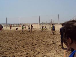 DSC00288-Medium