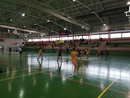 IMG_20191222_121353