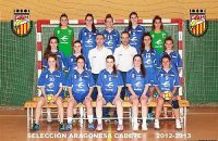 Selecciones 2012-2013