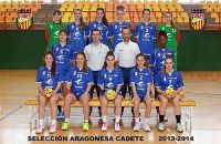 SELECCIONES 2013-2014