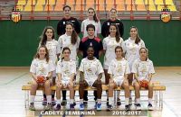 SELECCIONES 2016-2017