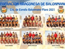 Poster-FEDERACION-ARAGONESA-BALONMANO-Custom