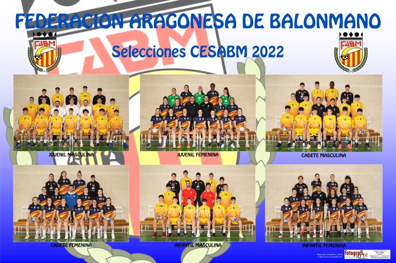 Poster-FEDERACION-ARAGONESA-BALONMANO