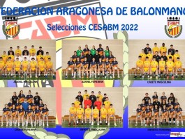 Poster-FEDERACION-ARAGONESA-BALONMANO