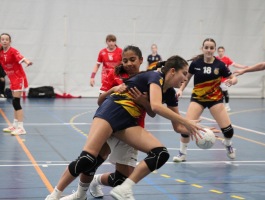 bbbdc7a3-f44f-44c8-9fce-f2980fe814d9