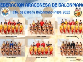 Poster-FEDERACION-ARAGONESA-BALONMANO-Large