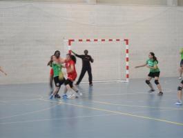 DSC04445-Medium