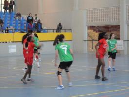 DSC04447-Medium