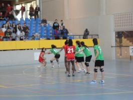 DSC04448-Medium