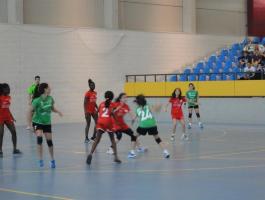 DSC04449-Medium