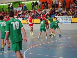 P4281106