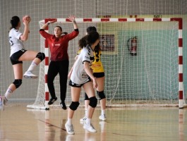 dom-cad-fem