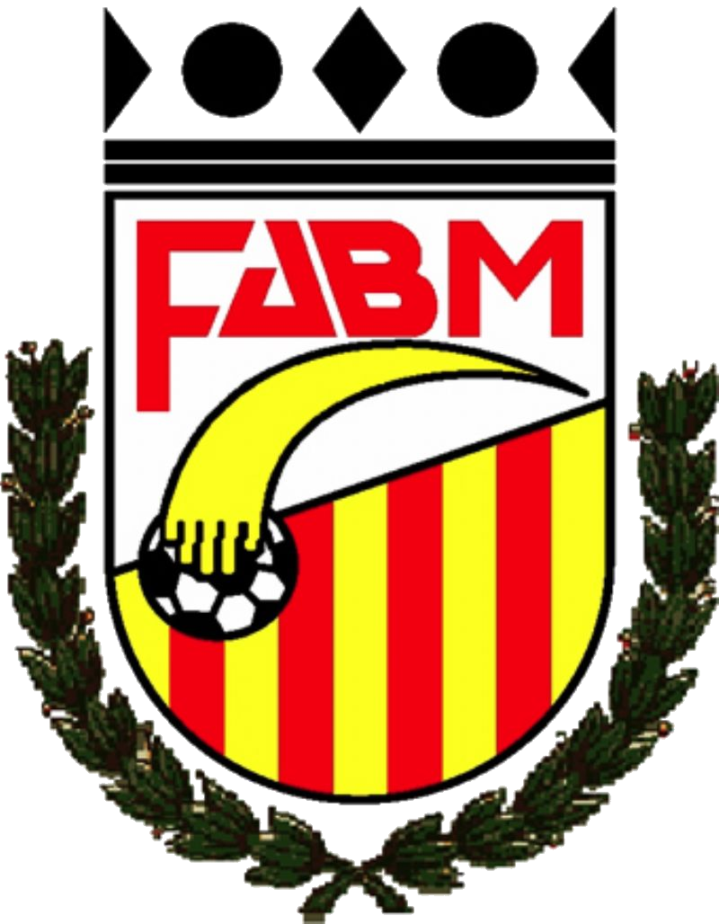 Federación Aragonesa de Balonmano
