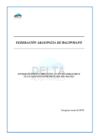 Informe revisión limitada 2020-21-22-23 Federación Aragonesa Balonmano