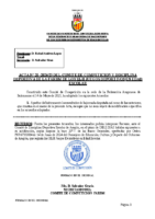 ACTA Nº 20 ESCOLAR 2024-2025