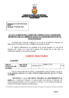 ACTA Nº15 ESCOLAR 2025-2026